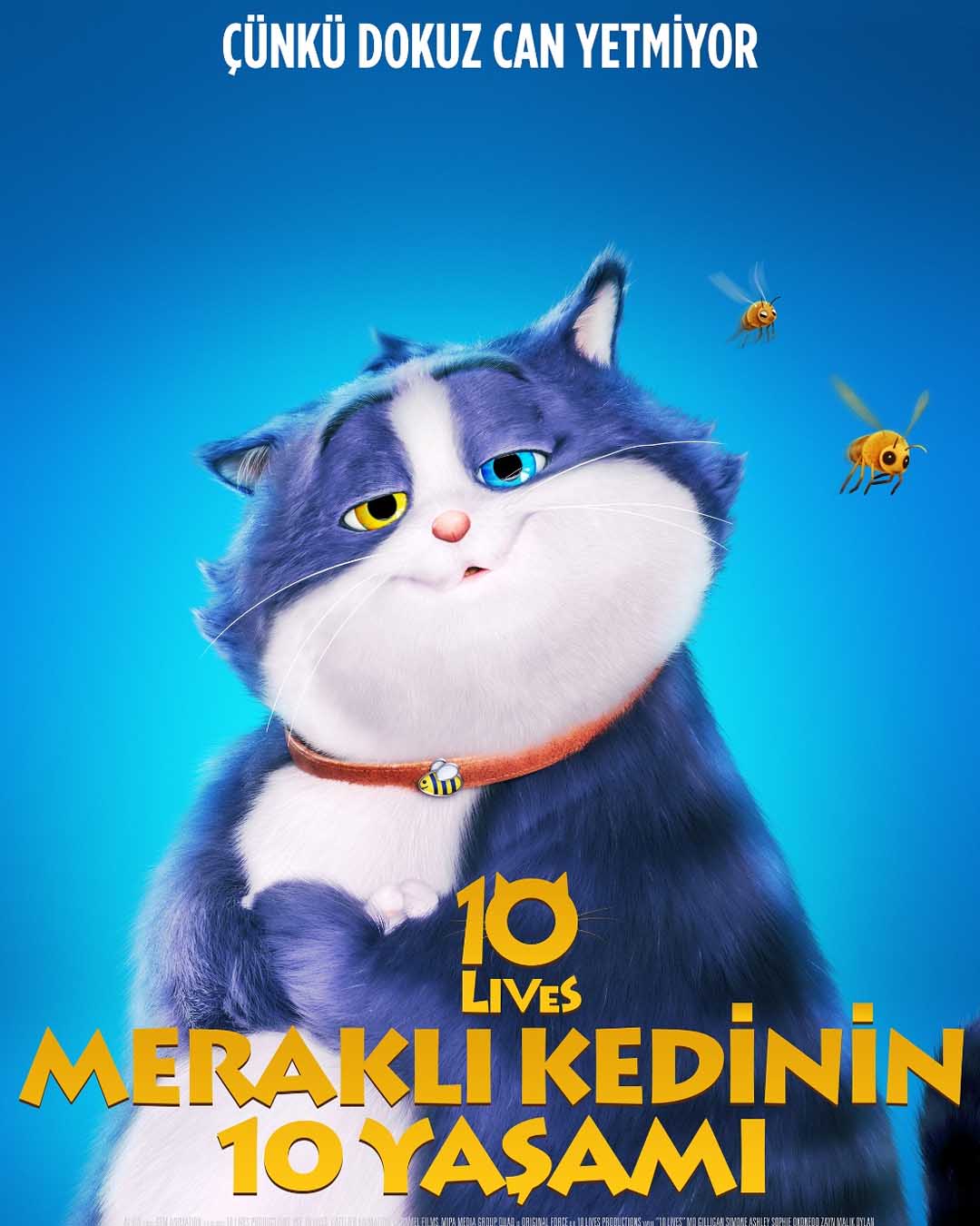 Meraklı Kedinin 10 Yaşamı İzle